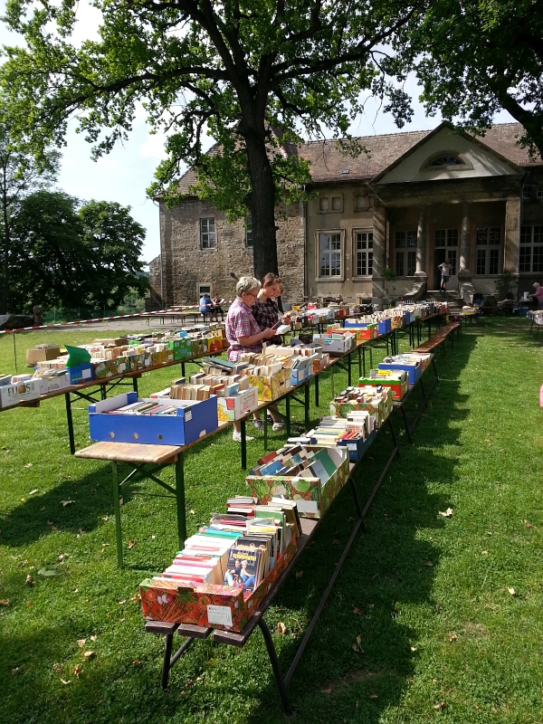 2014-05-25_5. Burgwerbener Buechermarkt_04.jpg